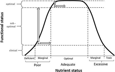 Self-Selection Bias: An Essential Design Consideration for Nutrition Trials in Healthy Populations